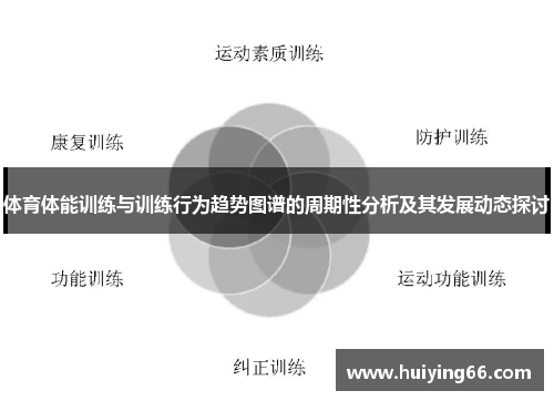 体育体能训练与训练行为趋势图谱的周期性分析及其发展动态探讨